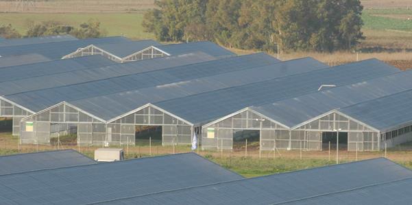 Ingeteam participa en el mayor invernadero fotovoltaico del mundo