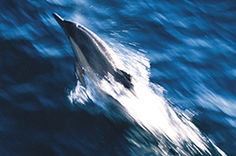 Entrega de equipos para un Buque Oceanográfico para Argentina de última generación