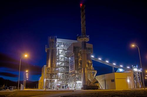 Planta completa noche